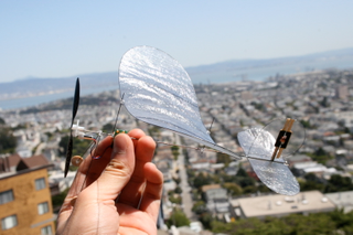 Illustration for article titled Carbon Butterfly Gallery: RC Plane Lighter Than a Sheet of Paper